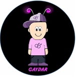 סיכת Gaydar
